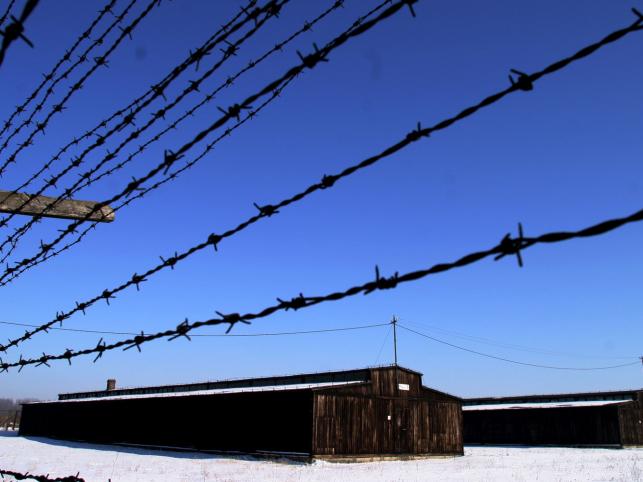 Majdanek "zagrał" w oscarowym hicie