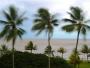 Coraz intensywniejsze podmuchy w Cairns w stanie Queensland