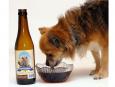 Kwispelbier – bezalkoholowe piwo dla psów, wymyślone przez pewnego holenderskiego właściciela sklepu zoologicznego. Powstaje z ekstraktu wołowiny oraz słodu