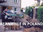 "Meanwhile in Poland". Internet śmieje się z Polaków