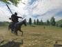 Mount & Blade, PC