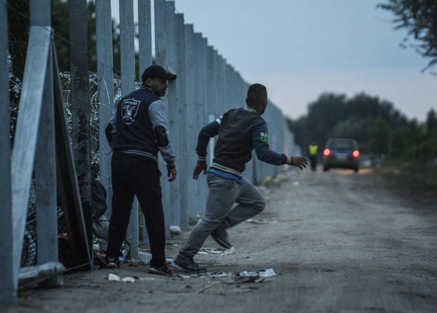 NIEZAPOMNIANE ZDJĘCIA 2015 ROKU