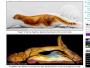 Zobacz niesamowity bodypainting!