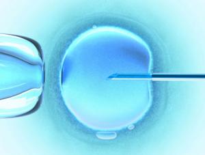 Kościół mówi twarde "nie" in vitro